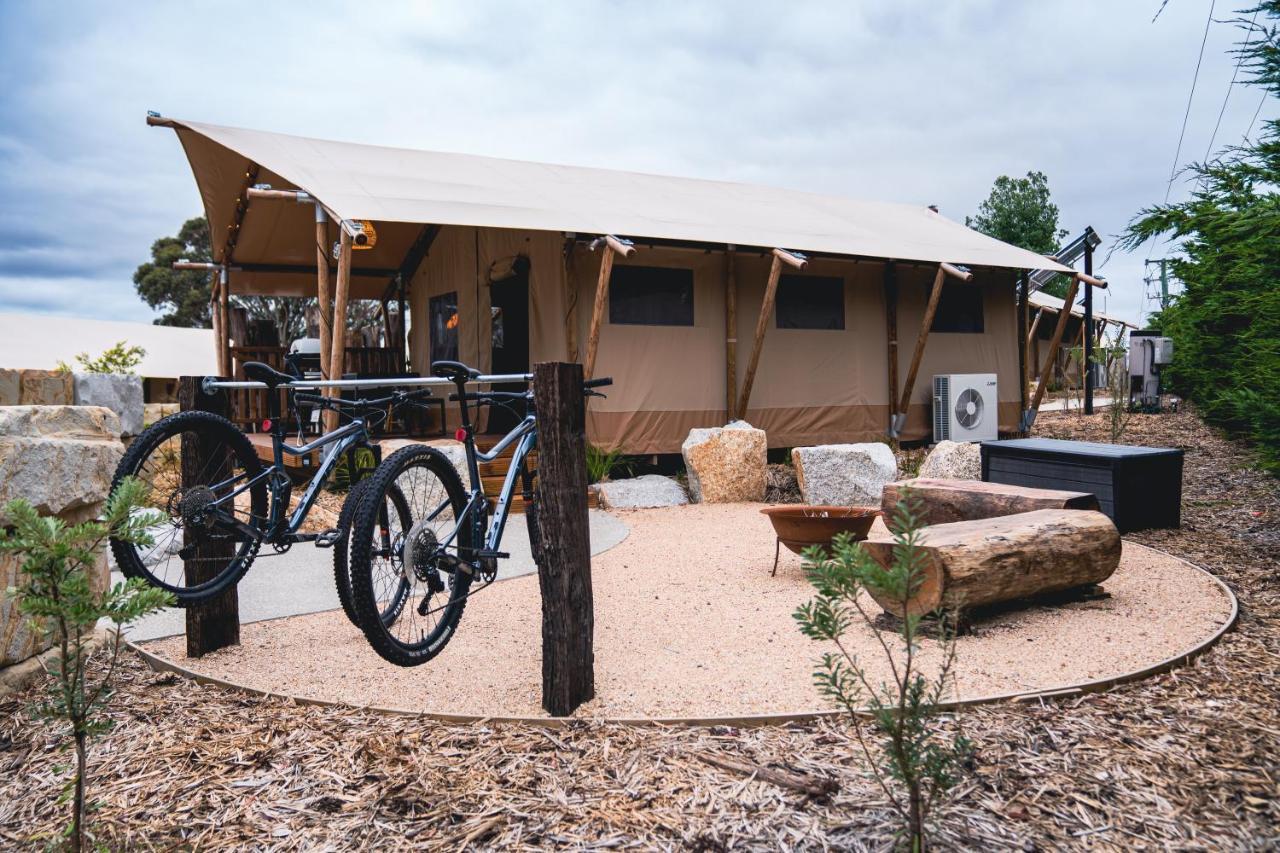 Hotel Glamping 148 Tasmania St Helens Exteriér fotografie